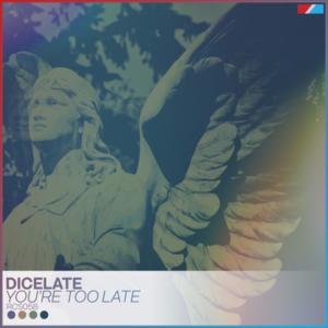 Listen to You're Too Late (Original Mix) song with lyrics from Dicelate