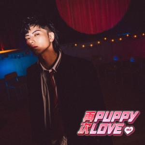 193的專輯再次puppy love