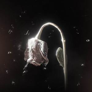 Listen to Değilim Bi Aşık song with lyrics from Heijan