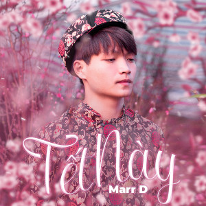 Listen to Tết Này (Instrumental) song with lyrics from Marr D