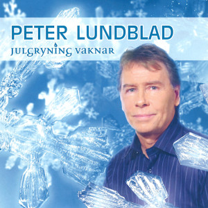 Listen to Julgryning Vaknar (Instrumental) song with lyrics from Peter Lundblad