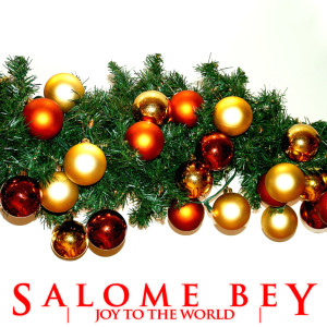 收聽Salome Bey的Joy To The World歌詞歌曲