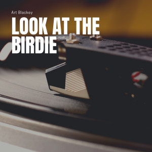 Album Look At the Birdie from 