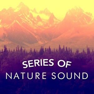 ดาวน์โหลดและฟังเพลง Wet Feathers พร้อมเนื้อเพลงจาก Nature Sound Series
