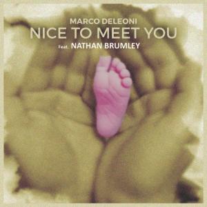 Marco Deleoni的專輯Nice To Meet You (feat. NATHAN BRUMLEY)