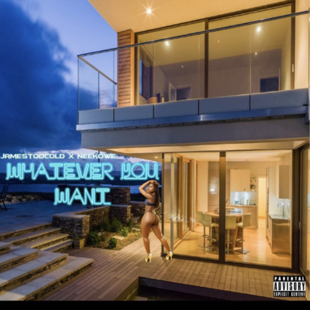 Whatever You Want (Explicit)