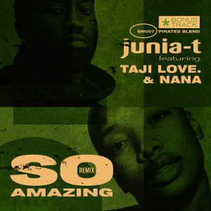 Album So Amazing (Remix) oleh Junia-T