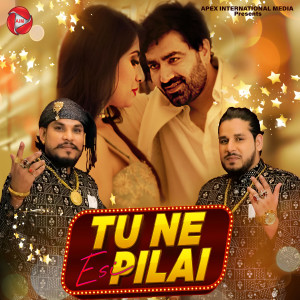 Listen to Tu Ne Esi Pilai song with lyrics from Ms Nizami Brothers