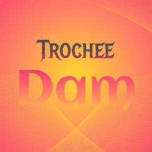 อัลบัม Trochee Dam ศิลปิน Various