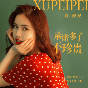ดาวน์โหลดและฟังเพลง 承诺多了不珍贵 (伴奏) พร้อมเนื้อเพลงจาก 许配配