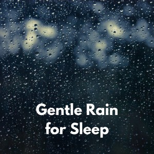 Album Gentle Rain for Sleep oleh Relaxing Rain Sounds