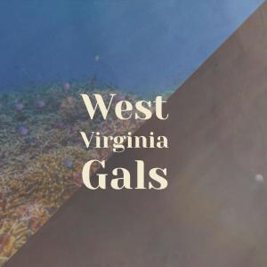 Dengarkan lagu West Virginia Gals nyanyian Daddy Stovepipe dengan lirik