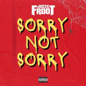 Listen to Sorry Not Sorry (Explicit) song with lyrics from Jucee Froot