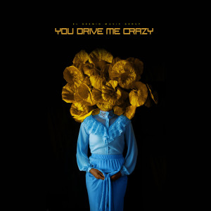 Album You Drive Me Crazy oleh Afro Viccini
