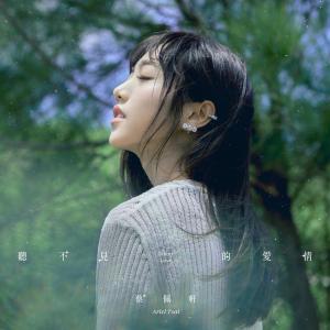 收聽蔡佩軒的聽不見的愛情歌詞歌曲