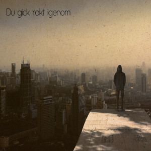 收聽Peter Lazar的Du gick rakt igenom歌詞歌曲