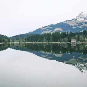Album Reflections from Sad Moses