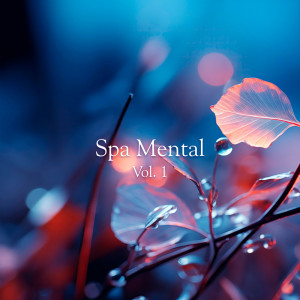 Concentracion的專輯Spa Mental Vol. 1