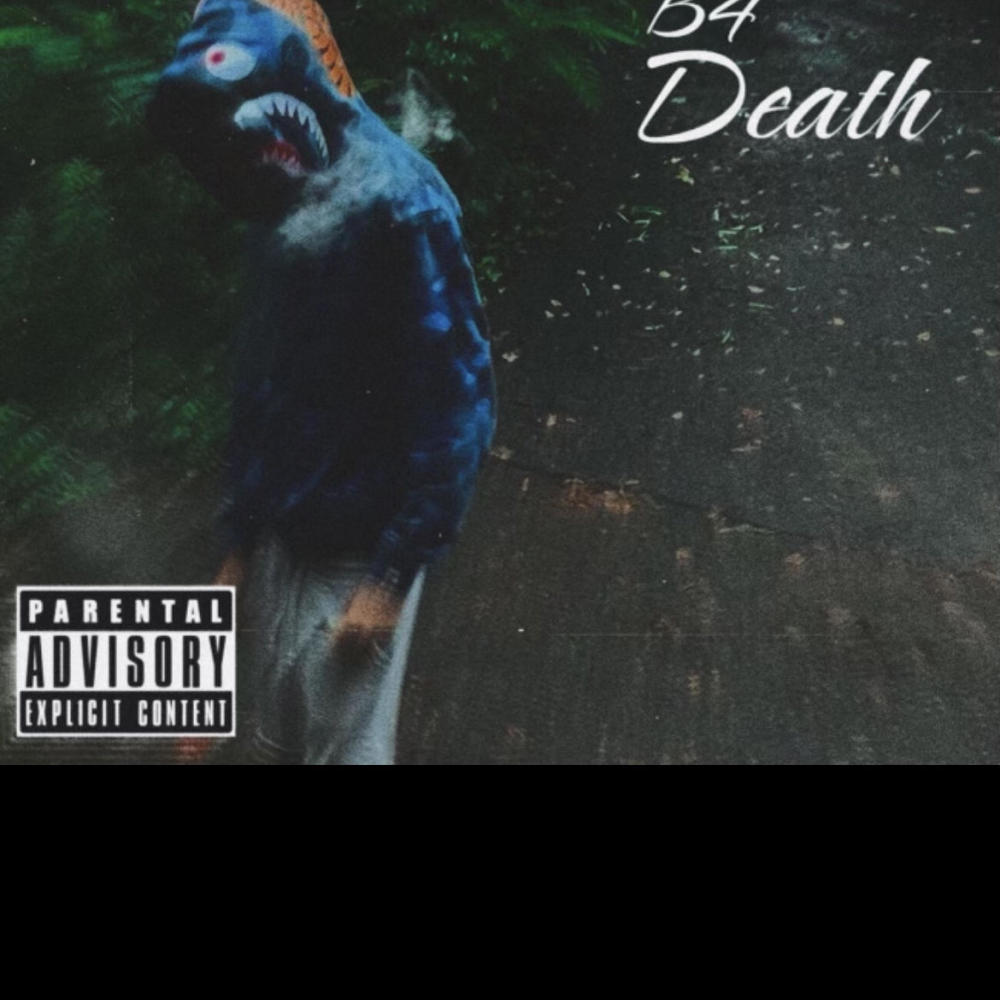 Madison (feat. Lil Josh) (Explicit)
