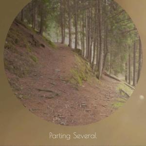 Listen to Go Strong song with lyrics from Joek Dener