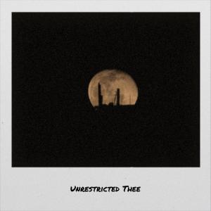 Various的专辑Unrestricted Thee