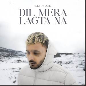Listen to Dil Mera Lagta Na song with lyrics from MC INSANE