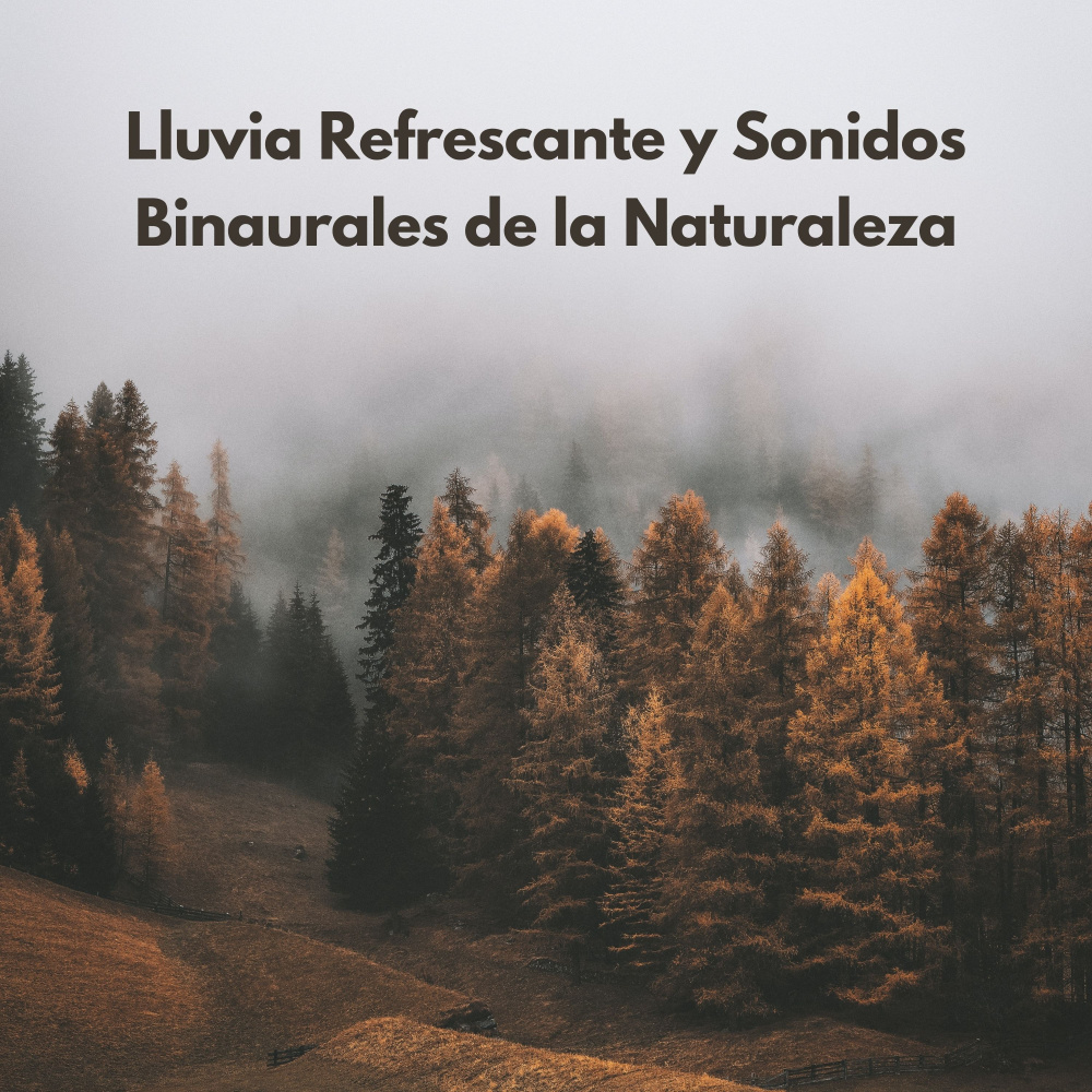 Melodías De Serenidad De Gotas De Lluvia