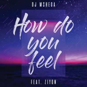 DJ Mshega的專輯How Do You Feel