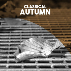 Album Classical: Autumn oleh USSR State Academic Symphony Orchestra