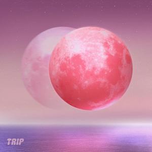 Album TRIP from Leaph