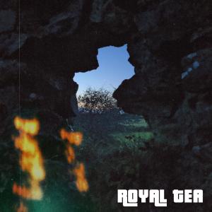 Listen to Stranger song with lyrics from Royal Tea
