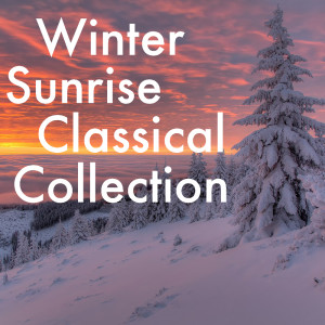 ดาวน์โหลดและฟังเพลง Sonata for Violoncello and Piano No. 1, Op. 18: III พร้อมเนื้อเพลงจาก The St Petra Russian Symphony Orchestra