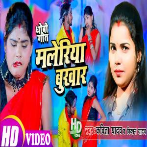 Listen to Maleriya Bukhar song with lyrics from Kishan Yadav