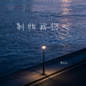 Listen to 别怕我伤心 song with lyrics from 夏心心