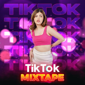 Listen to TIKTOK VIRAL MIXTAPE, Vol. 1 song with lyrics from DJ Maru
