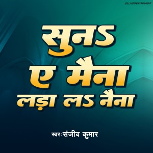 ดาวน์โหลดและฟังเพลง Suna E Maina Lara L Naina พร้อมเนื้อเพลงจาก Sanjiv Kumar