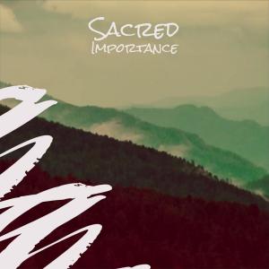 Listen to Sacred Importance song with lyrics from Sanja Stras