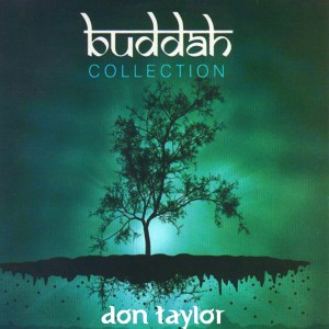 ดาวน์โหลดและฟังเพลง Cat Walk Toon พร้อมเนื้อเพลงจาก Don Taylor
