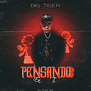 收聽Big Tiger的Pensando en Ti歌詞歌曲
