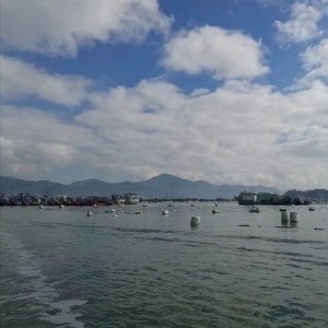 收聽兔子的你的心是遙遠的海歌詞歌曲