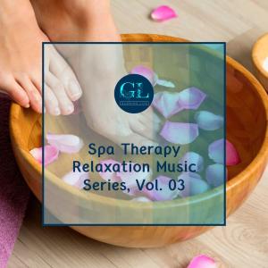 Various的专辑Spa Therapy Relaxation Music Series, Vol. 03