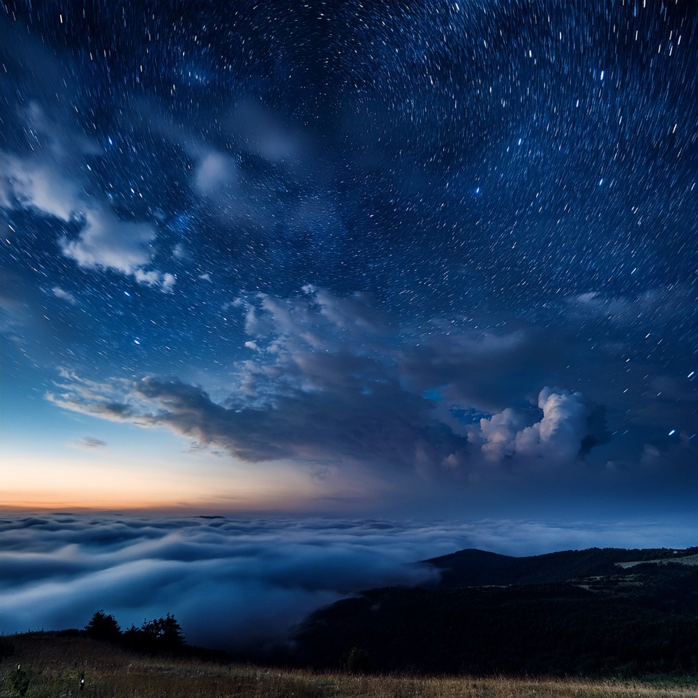 In The Stillness Of The Dark