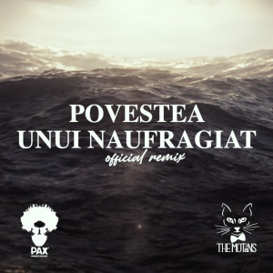 Album Povestea Unui Naufragiat (Official Remix) from PAX Paradise Auxiliary