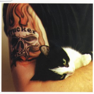 ดาวน์โหลดและฟังเพลง Saddest Song พร้อมเนื้อเพลงจาก Trucker