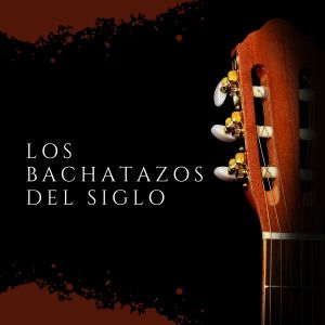 Listen to Volveré song with lyrics from El Chaval De la Bachata