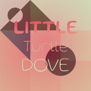 Listen to Down By The Station song with lyrics from Four Preps