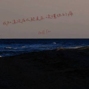 Listen to 我知道没有人能真正读懂你的痛 song with lyrics from Null One