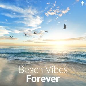 Listen to Summer Sounds Anthem 4.0 song with lyrics from Summer Sounds