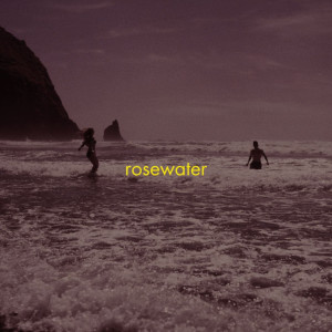 Dengarkan lagu Rosewater nyanyian Palms dengan lirik