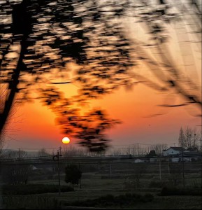 收听Shake9.的请寄一场黄昏给我 (1.5x)歌词歌曲